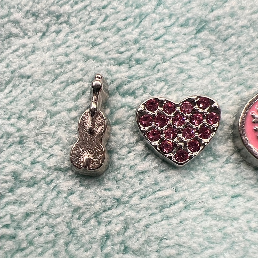 Floating Locket Charms - Picture 2 of 3